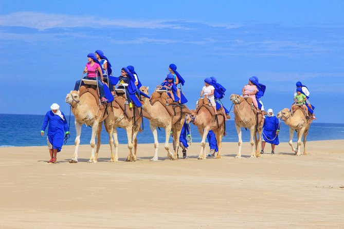 Camel ride | Image taken from viator.com