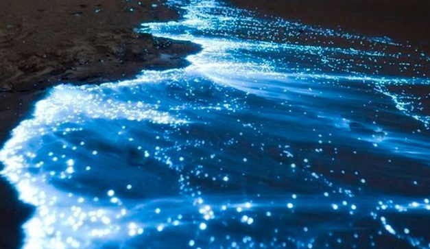 Laguna de Manialtepec | Imagen extraída de www.chilango.com