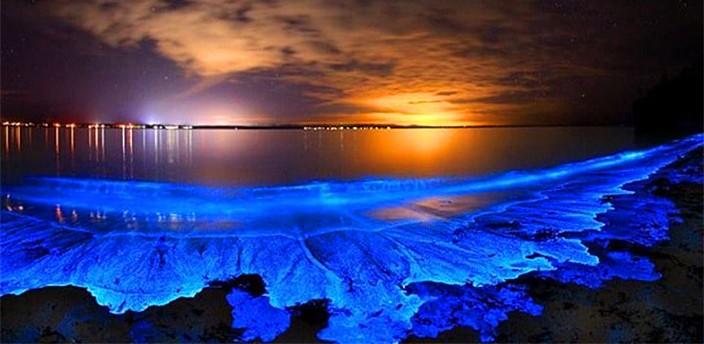 Bioluminescence at Laguna de Manialtepec in Puerto Escondido