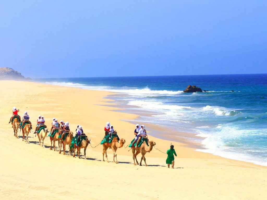 Los Cabos | Image extracted from alleivatravel.com