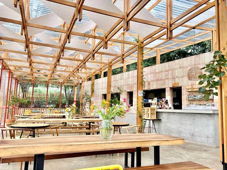 tranquil forest garden atmosphere Interior at Solar, one of the best restaurants in Valle de Bravo